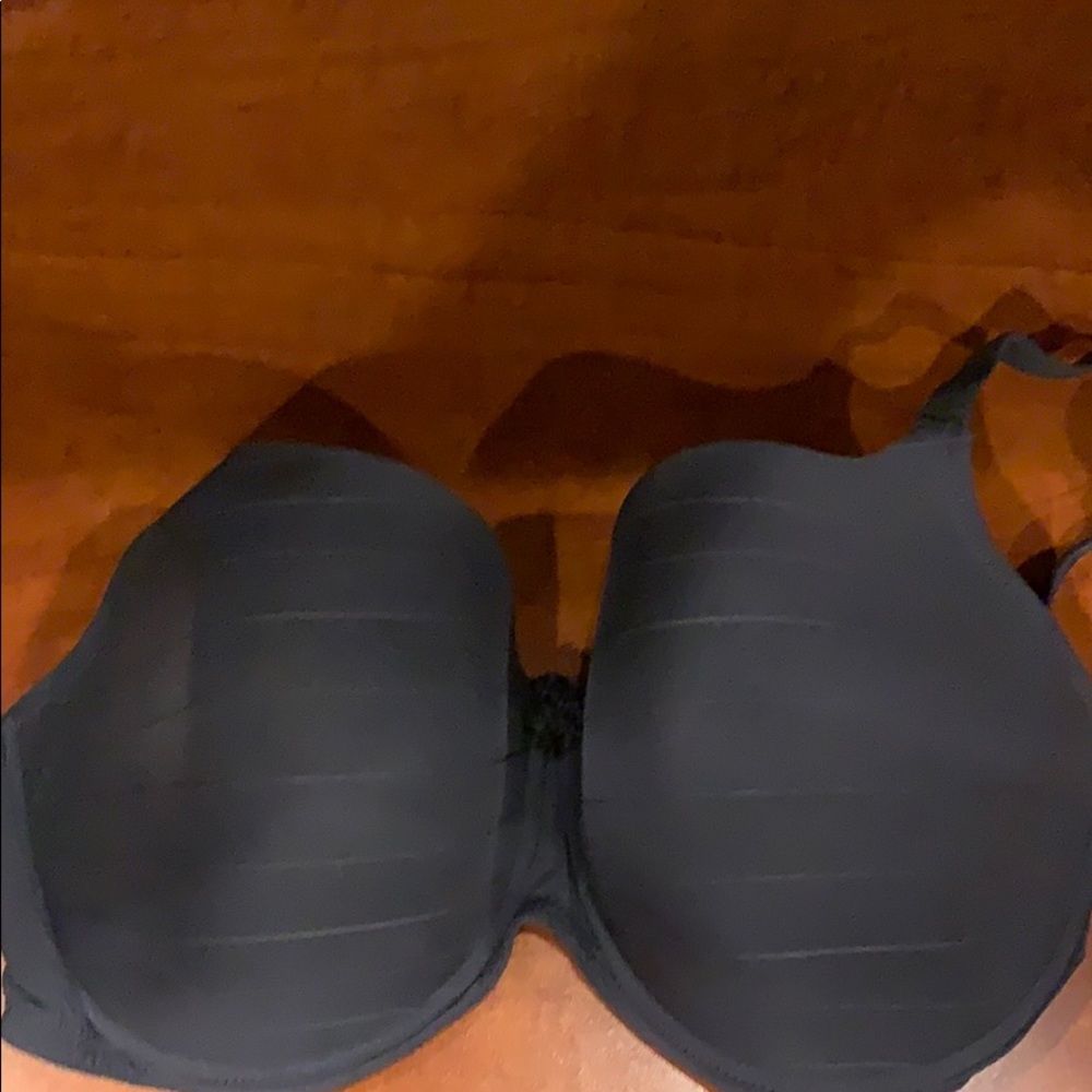 Primary Donna Navy With Strips Padded Bra